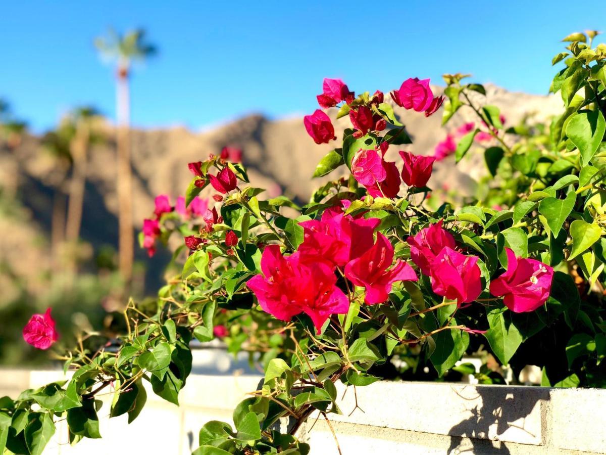 La Joya Moderna Villa Palm Springs Luaran gambar