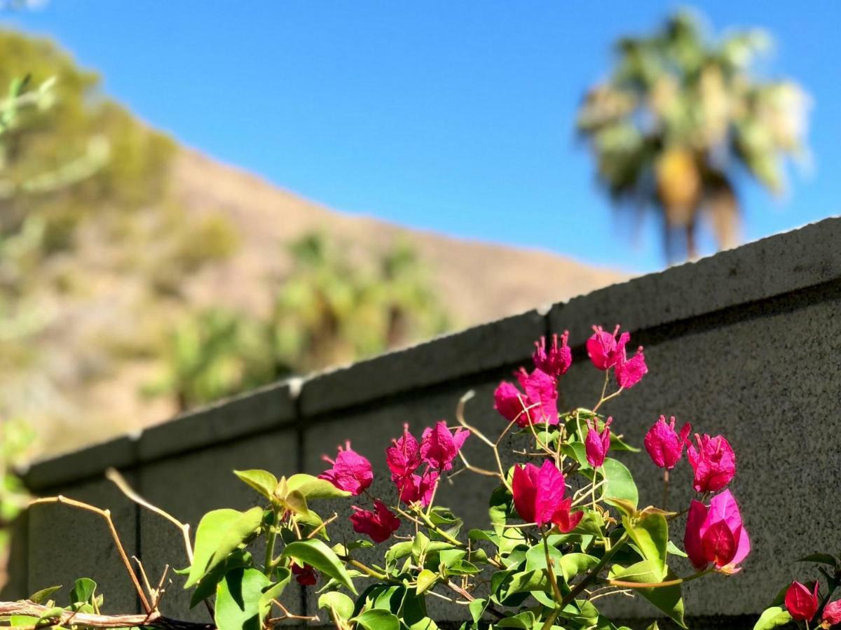 La Joya Moderna Villa Palm Springs Luaran gambar